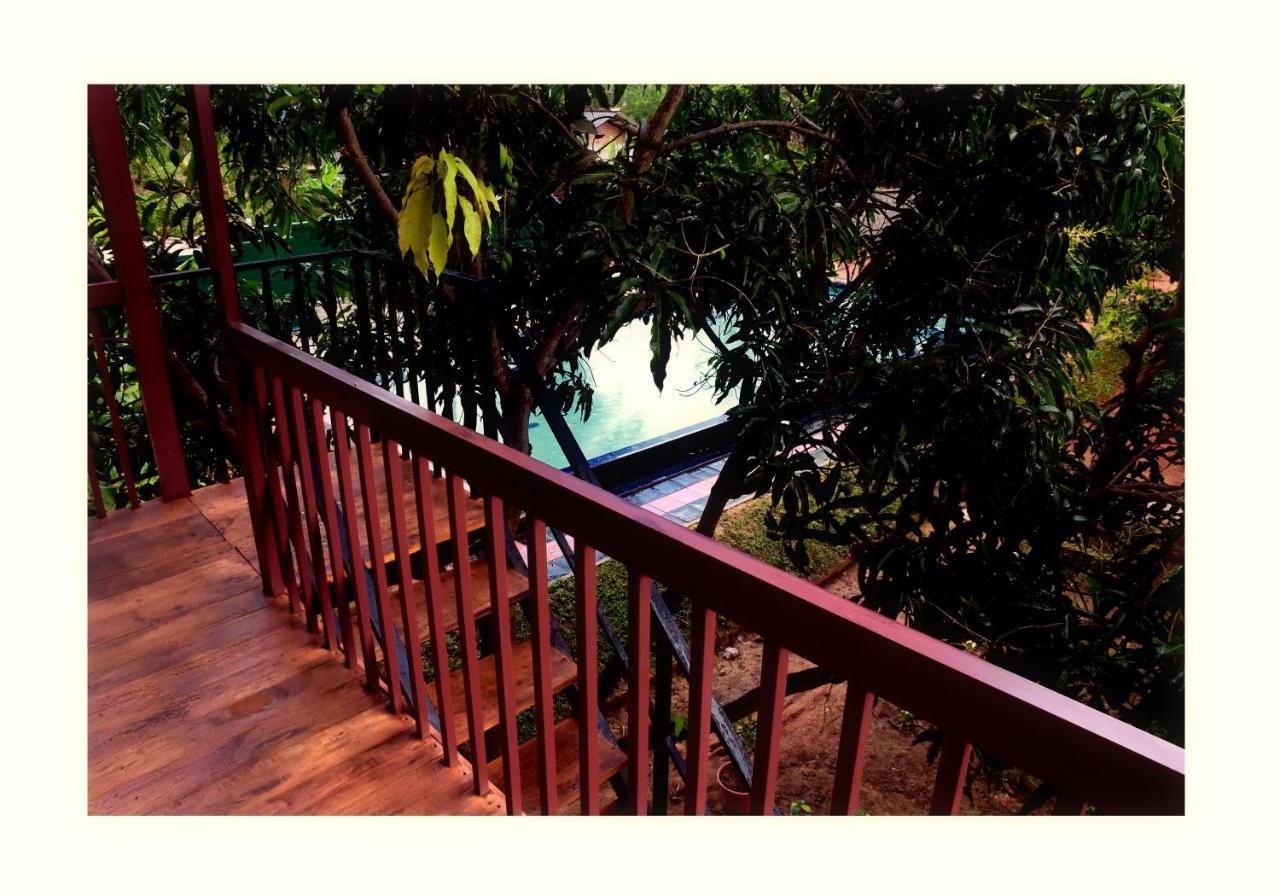 Sun And Green Eco Lodge - Dambulla Exterior foto
