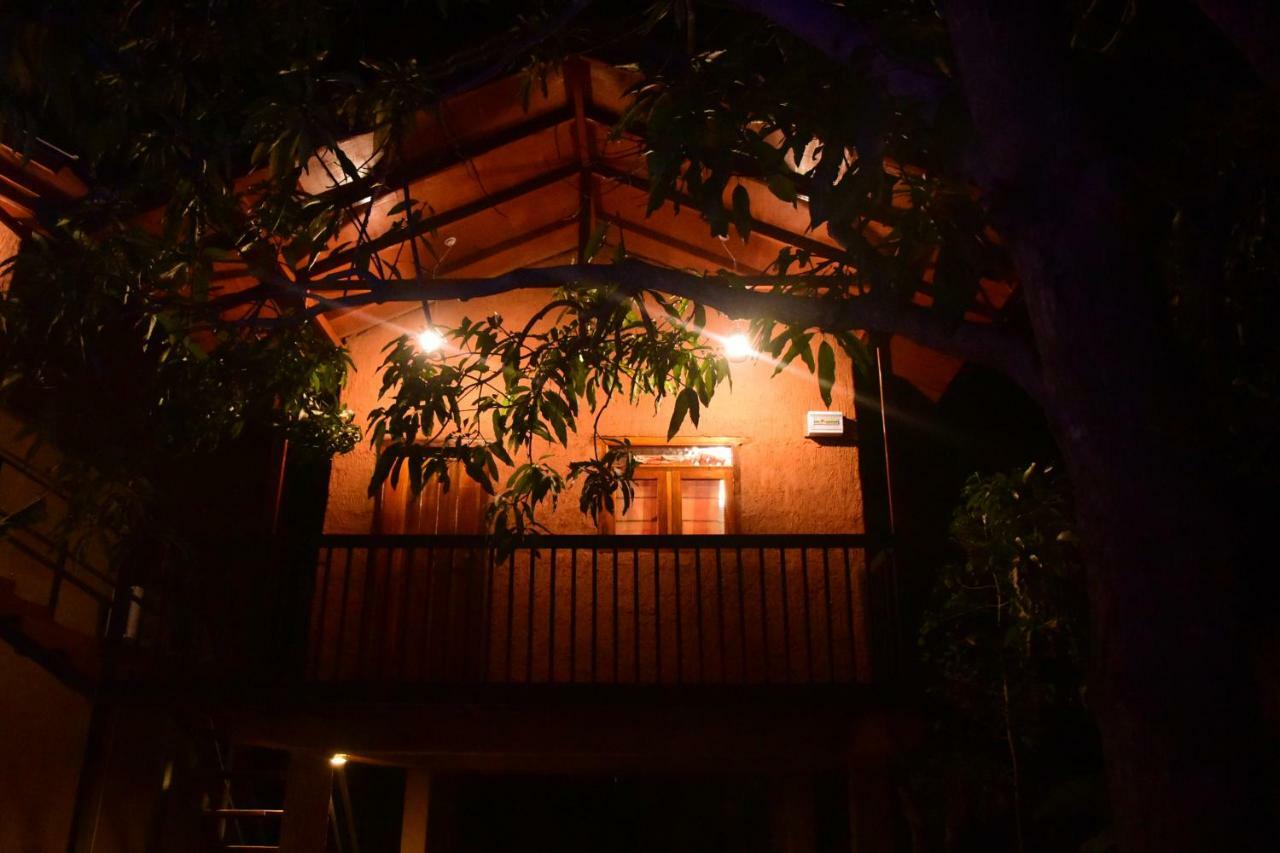 Sun And Green Eco Lodge - Dambulla Exterior foto